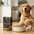 Preservative-Free Wet Dog Food: The Science of Retort-Processed MDM Meat
